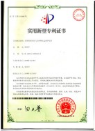 Patent7